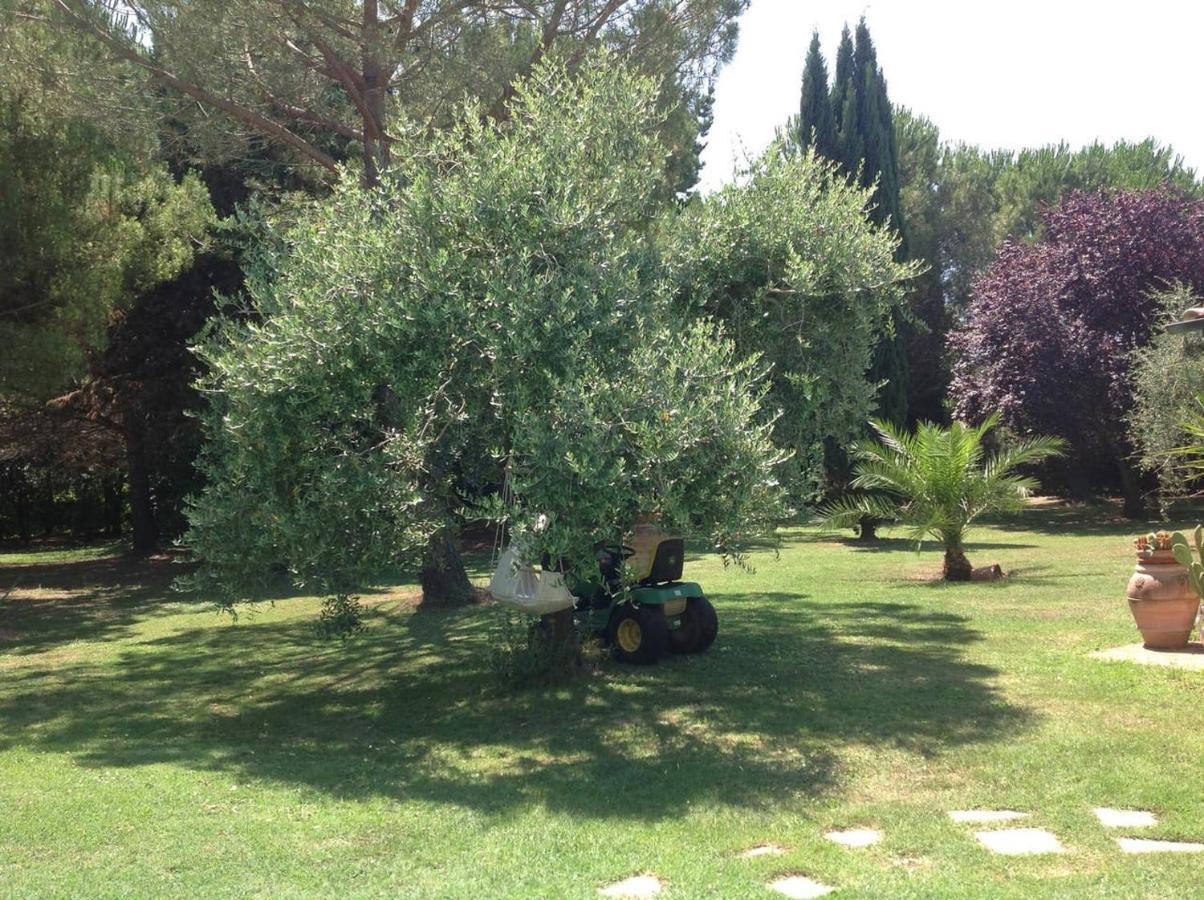 Charming In With Terrace And Shared Pool. Villaer Pisa