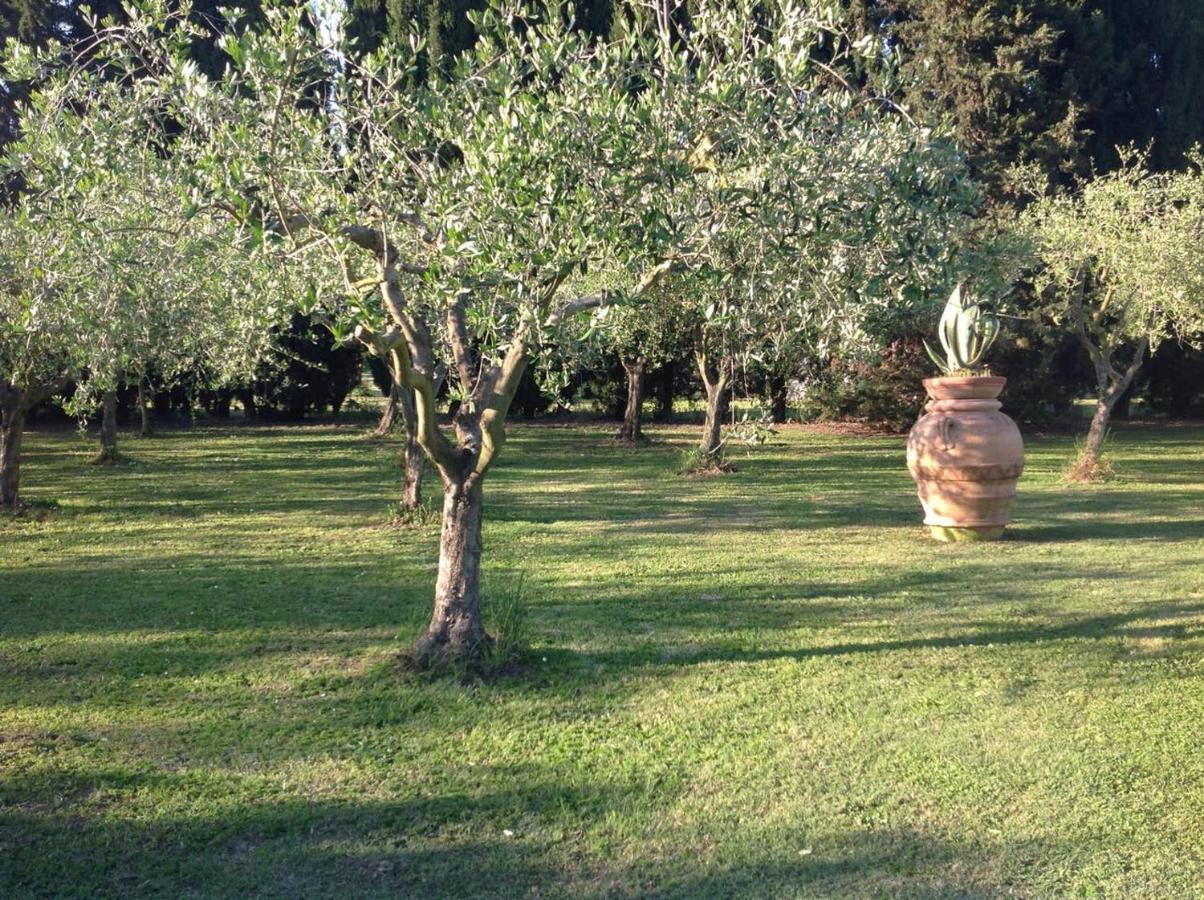 Charming In With Terrace And Shared Pool. Villaer Pisa